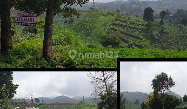 TNH BUKIT PAKAR UTARA atas WARUNG BANDREK 1