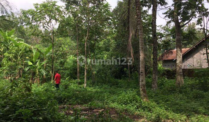 Tanah Pekarangan Murah Wedomartani 2