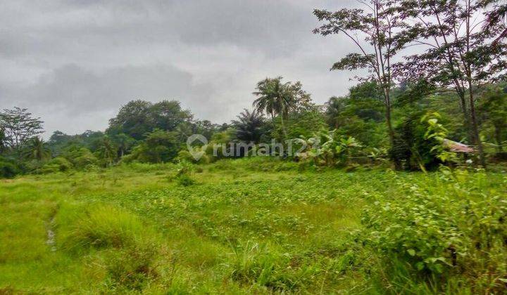 TANAH LUAS COCOK UNTUK PABRIK/KEBUN @BOGOR CIAMPEA (EW) 1