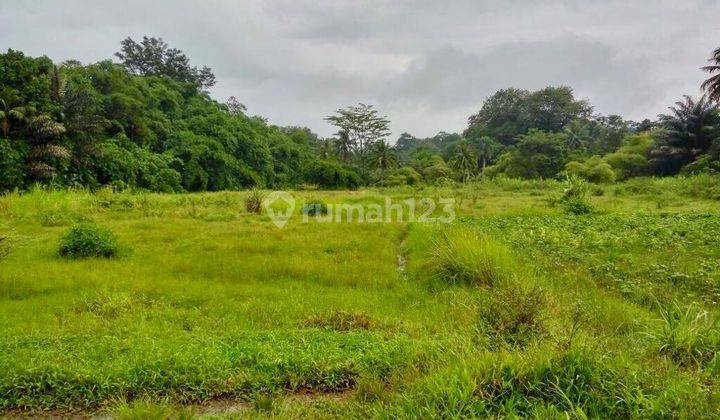 TANAH LUAS COCOK UNTUK PABRIK/KEBUN @BOGOR CIAMPEA (EW) 2