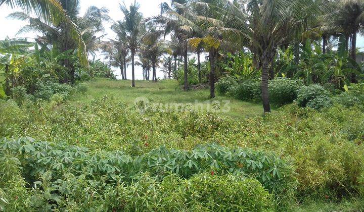 BEACH FRONT LAND 1