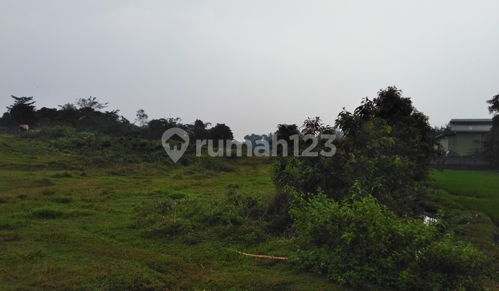 Tanah industri dekat Millenium Baru di Cikupa. 0770