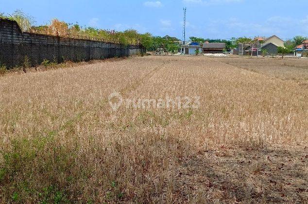 Tanah Kering Siap Bangun Lokasi Jaten Karanganyar 1