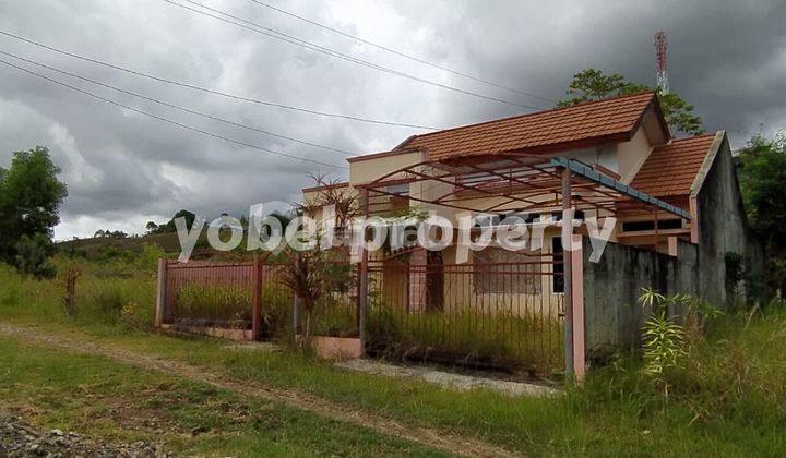 Lahan di Buper Waena, Jayapura, Papua Lahan di Buper Waena, Jayapura, Papua