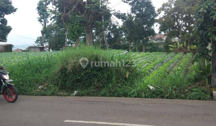 TANAH PINGGIR JALAN CIWARUGA LINGKUNGAN ASRI 1