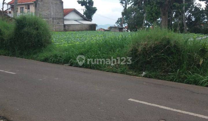 TANAH PINGGIR JALAN CIWARUGA LINGKUNGAN ASRI 2