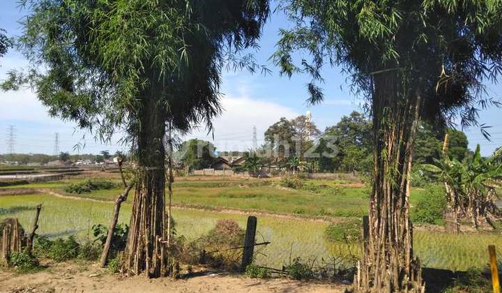 Tanah industri, masuk container di Lanud Gorda, Cikande. 0951 Tanah industri, masuk container di Lanud Gorda, Cikande. 0951