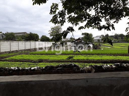 JUAL LAHAN STRATEGIS JL GATOT SUBROTO 1