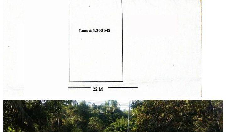  3226ef Tanah strategis Tanjung Pandan Belitung  1