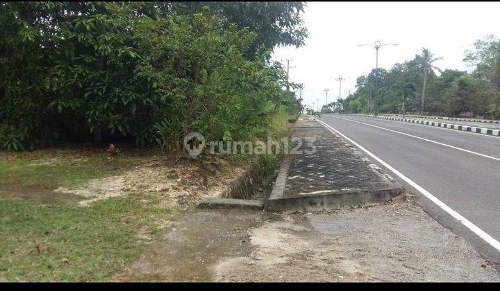  3226ef Tanah strategis Tanjung Pandan Belitung  2