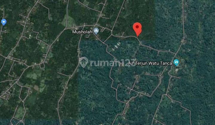 Lahan kebun Desa Tempuran-Nongkojajar, jalan aspal 1