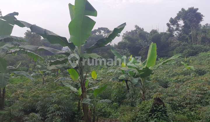 Dijual Tanah di Cikadut Bandung,Cocok untuk Cluster,Lokasi Sejuk