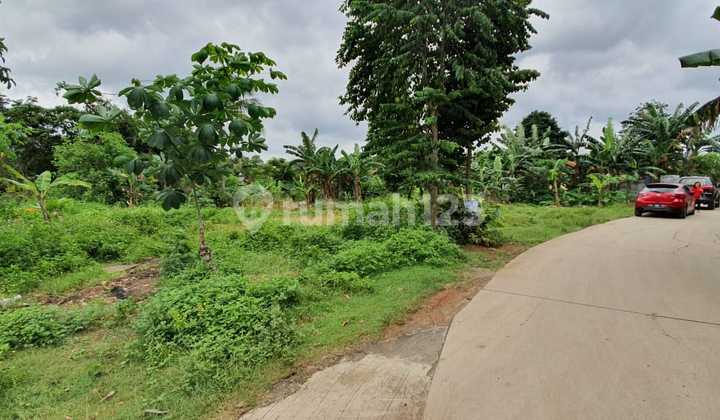 READY-TO-BUILD SOLID LAND