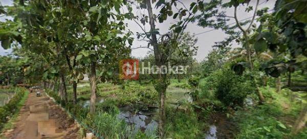 Dijual Tanah Murah di Gunung Sindur Bogor 1