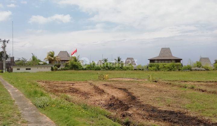 Tanah view sawah dekat Alami Boutique Villas &amp; Resort Bali 1