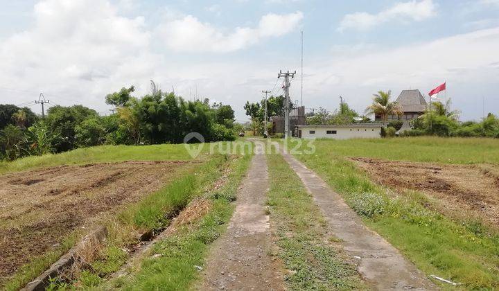 Tanah view sawah dekat Alami Boutique Villas &amp; Resort Bali 2