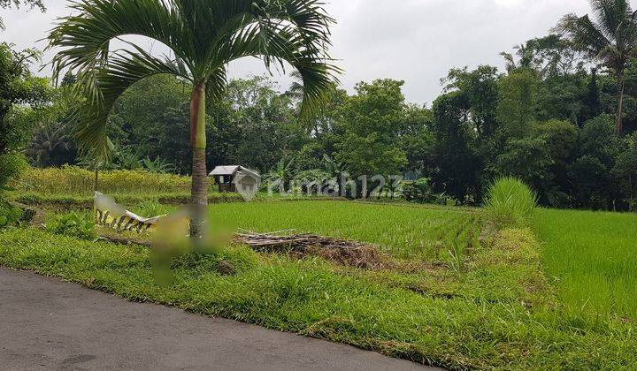 Tanah sawah di Jl Kaliurang dekat Kopi Klotok dan RS Panti Nugroho 1