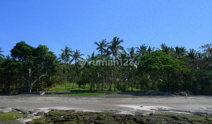 Tanah Los Pantai Dijual, Luas 11.800m2, Pekutatan, Jembrana, Bali 2