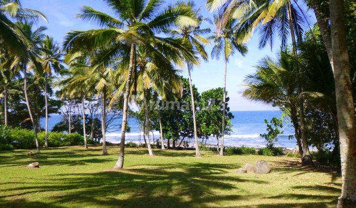 Tanah Los Pantai Dijual, Luas 11.800m2, Pekutatan, Jembrana, Bali 1