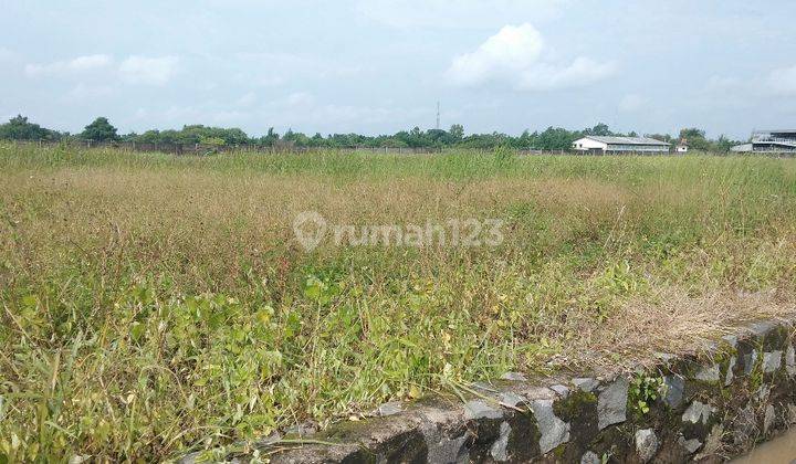 Tanah padat siap bangun pabrik 1