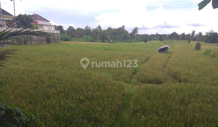 Tanah 1,38 hektar di jalan Raya Denpasar Gilimanuk Sempidi Badung Bali 1