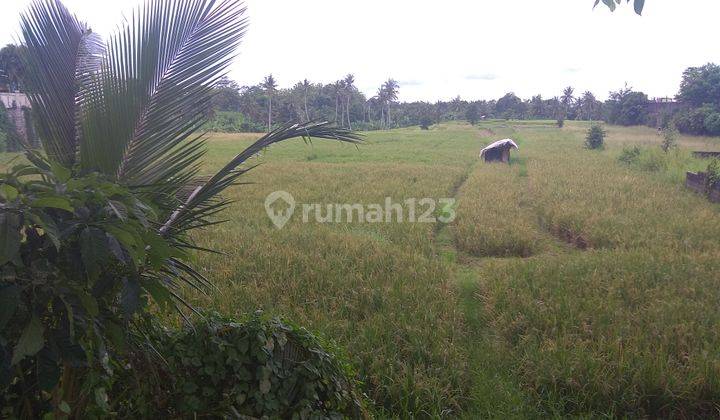 Tanah 1,38 hektar di jalan Raya Denpasar Gilimanuk Sempidi Badung Bali 2