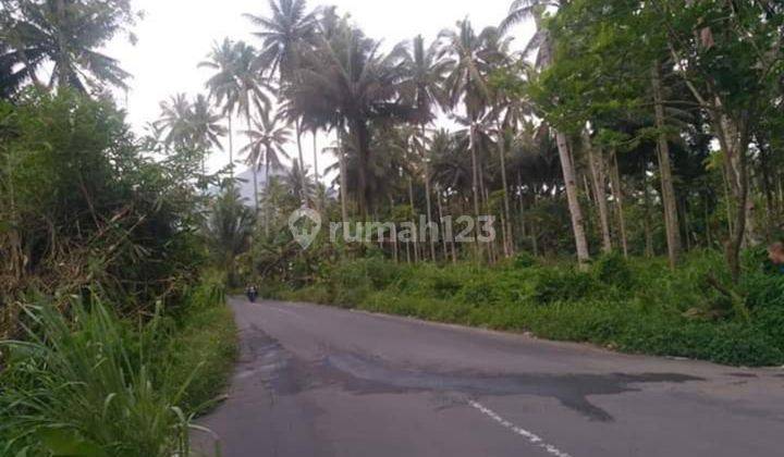 Tanah 3~9h Di Paniki Matungkas Dekat Jl Soekarno Pas Buat Gudang  1