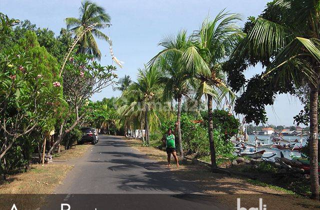 Prime Beachfront Land - 3040 Sqm Freehold Plot In Jembrana - 1918 - L 2