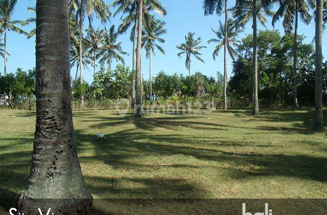 Prime Beachfront Land - 3040 Sqm Freehold Plot In Jembrana - 1918 - L 1