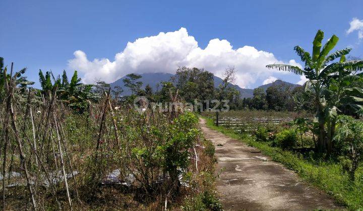 Tanah Siap Tempati : Desa Ampelgading, Bandungan, Ambarawa 1