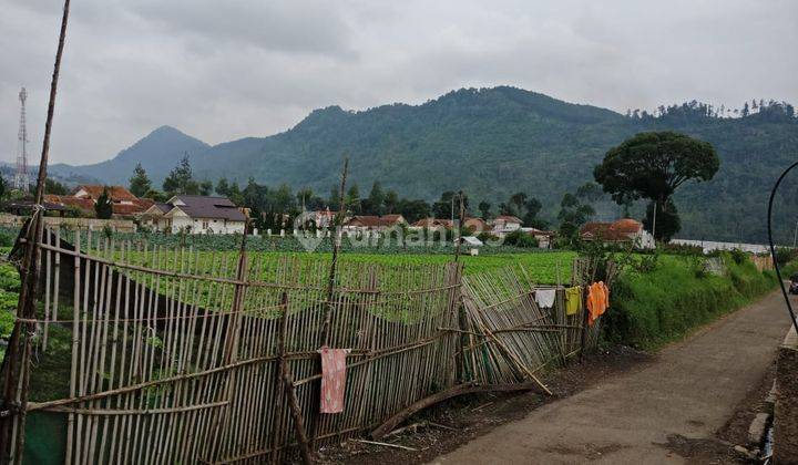 Cibodas Pariwisata Land with great Views to Pine Forest 2