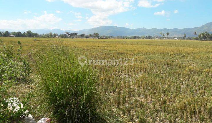 Tanah Siap Bangun Lokasi Strategis Harga Nego di Tilongkabila Gorontalo 1