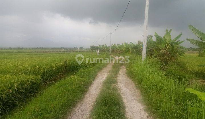 Land near Pasut Beach Kediri Tabanan 1