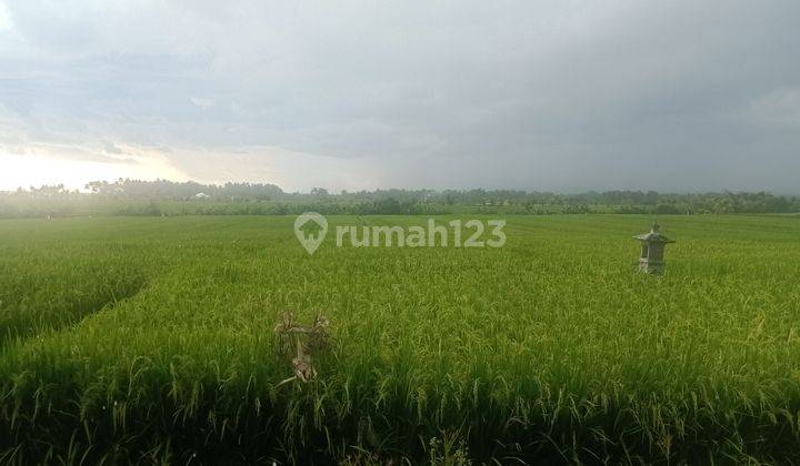 Land near Pasut Beach Kediri Tabanan 2