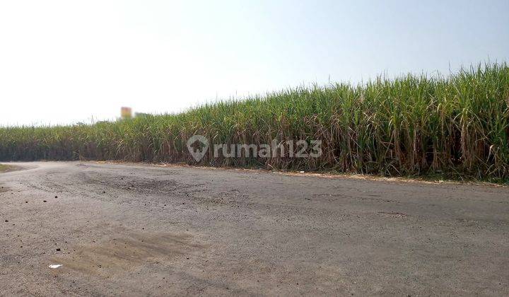 Tanah Luas Di Tegal Mapan Cocok Untuk Usaha, Dekat Tol & Gatra Mapan...Harga Nego Pemilik 2