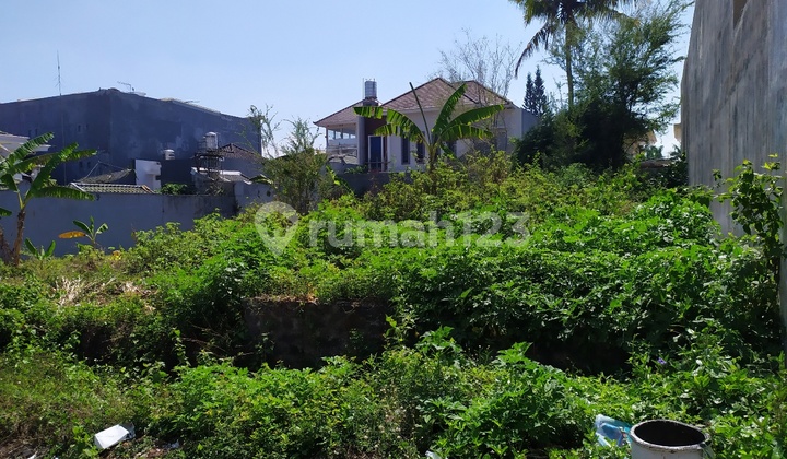 Land on the Dieng Hill, Malang. Land on the Dieng Hill, Malang.