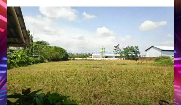 TANAH SAWAH PINGGIR JALAN UTAMA BANGSAL ! NEGO SAMPAI DEAL !! 1