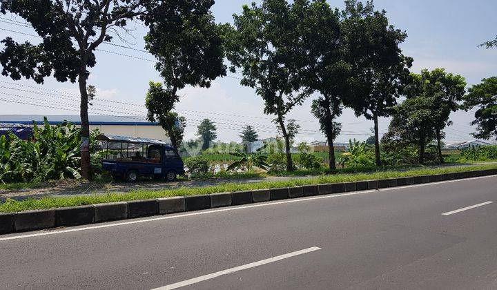 Tanah zona merah di grogol sukoharjo solo 2