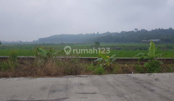 Tanah Zona Industri Depan Exit Tol Kabupaten Semarang 1