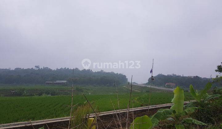 Tanah zona industri depan exit tol kabupaten semarang 2