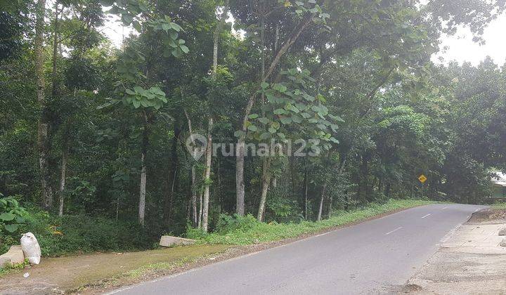 Tanah murah strategis pinggir jalan raya mojogedang karanganyar solo 1