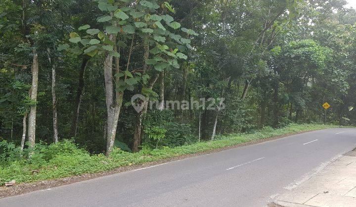 Tanah murah strategis pinggir jalan raya mojogedang karanganyar solo 2