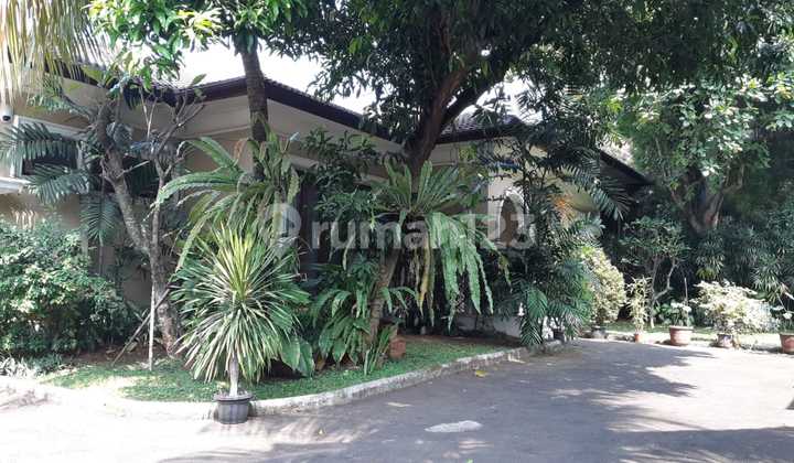 Beli Tanah Dapat Bonus 2 Unit Rumah Mewah Area Cipete Selatan/Antasari - Cilandak. -