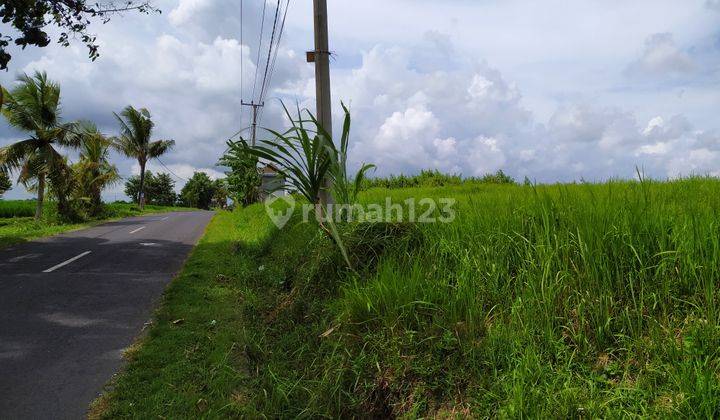 Tanah 28,25 are di Kaba Kaba Kediri Tabanan Bali 2