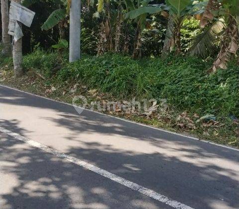 Tanah Murah Di Jalan Utama Cocok Untuk Bisnis Dan Villa 2