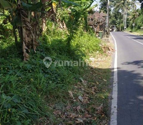 Tanah Murah Di Jalan Utama Cocok Untuk Bisnis Dan Villa 1