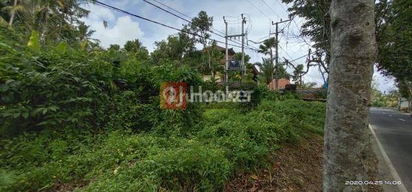 Tanah 12 Are Lokasi Strategi di Jl. Raya Tampaksiring Gianyar 2