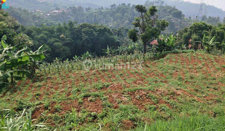 TANAH BUNISARI CIMENYAN DEKAT CARTIL PADASUKA KAB BANDUNG 1