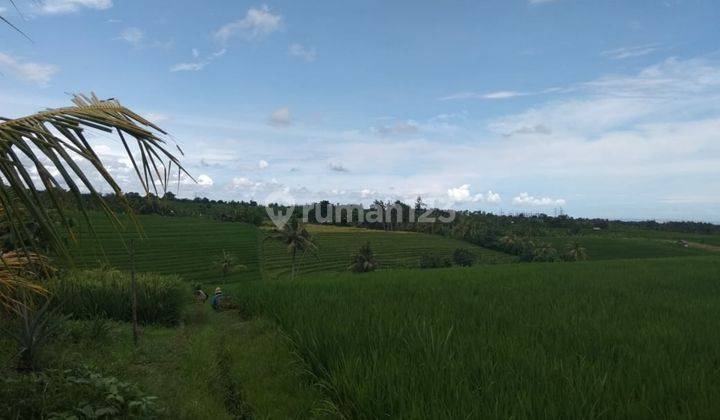 Cool land, super cheap price, suitable for villas 1