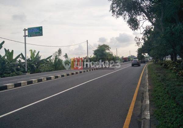 Tanah di Jl. Prof Ida Bagus Mantra Cocok Untuk Tempat Usaha atau Perkebunan 2